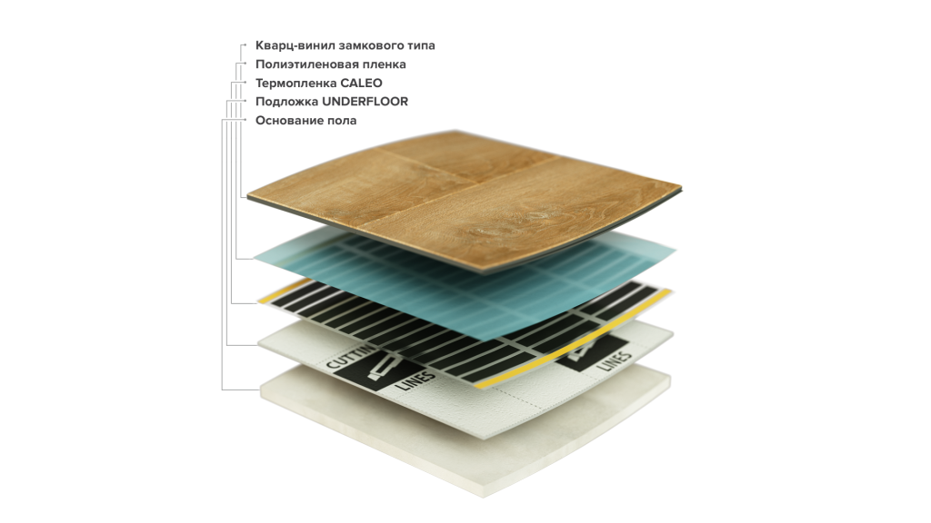 scale_2400 (18).png